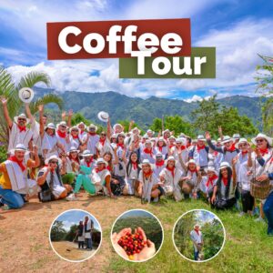 Coffee Tour