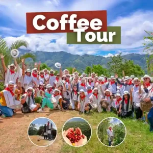 Coffee Tour